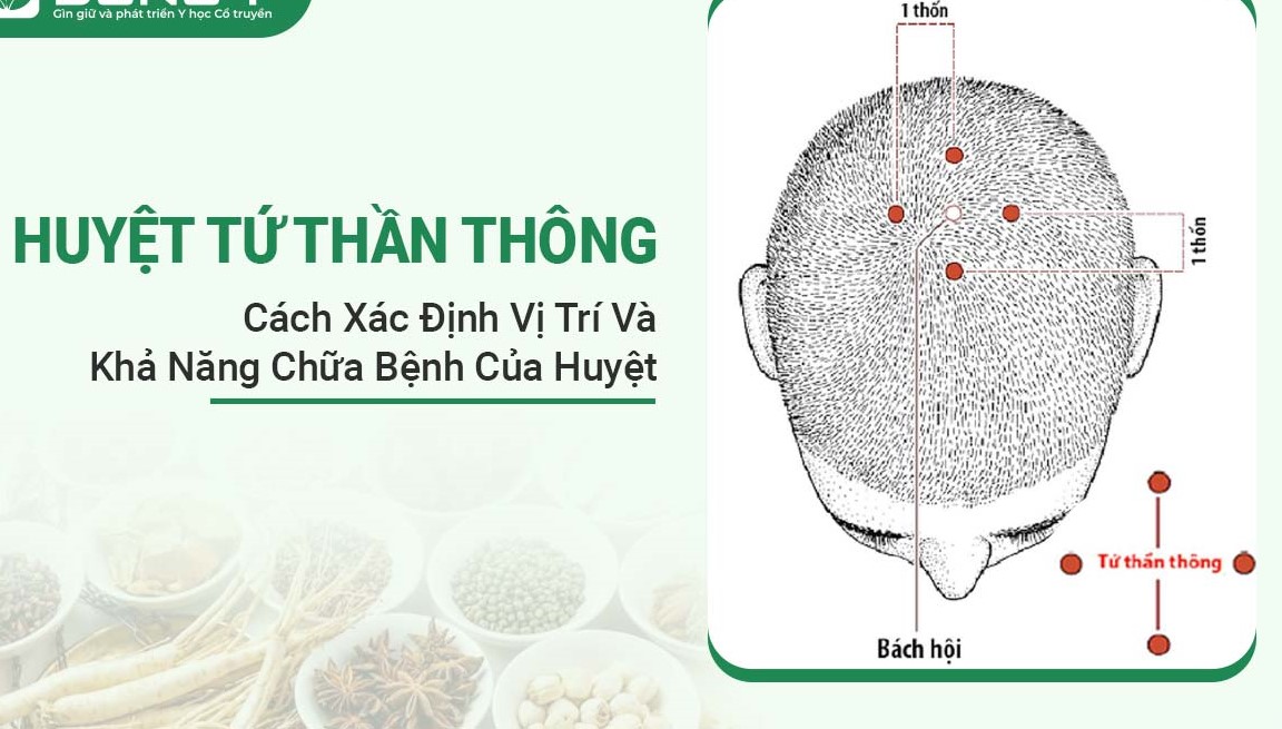 huyet-tu-than-thong-1-111-1722783132993404674776-1722848199673-172284820013418289227.jpg