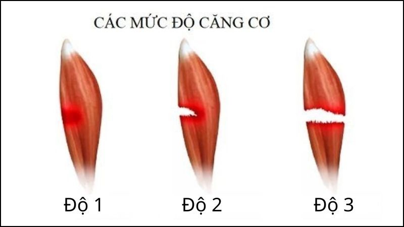 cang-co4-800x450