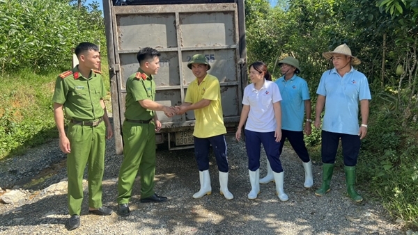 Phó quản lý trang trại cùng 2 nhân viên bán trộm 41 con lợn