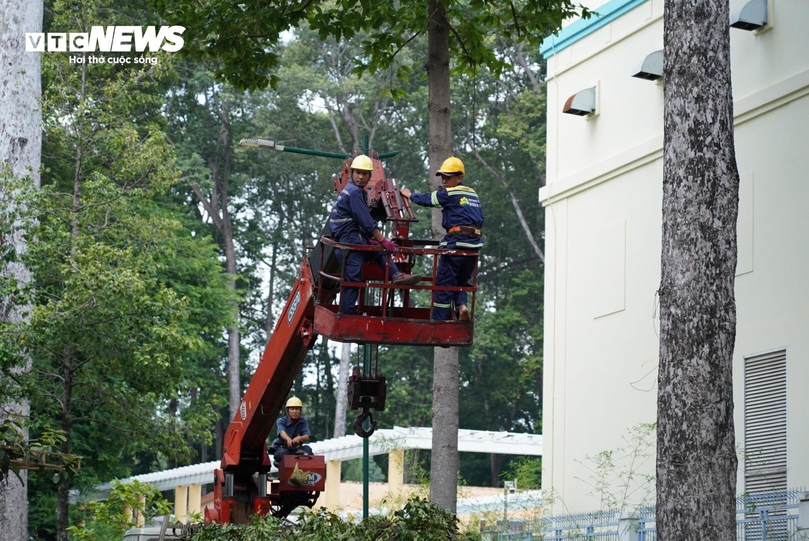 Hiện trường vụ cành cây rơi đè 5 người thương vong ở công viên Tao Đàn - Ảnh 9.