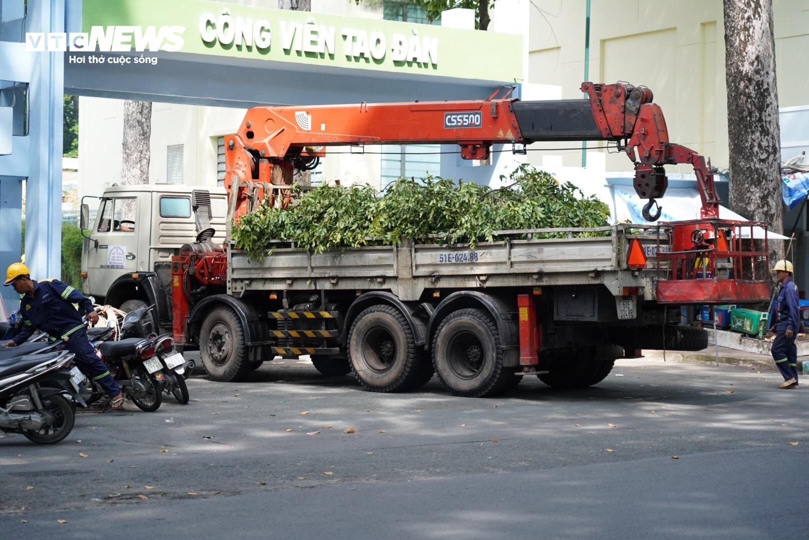 Hiện trường vụ cành cây rơi đè 5 người thương vong ở công viên Tao Đàn - Ảnh 8.