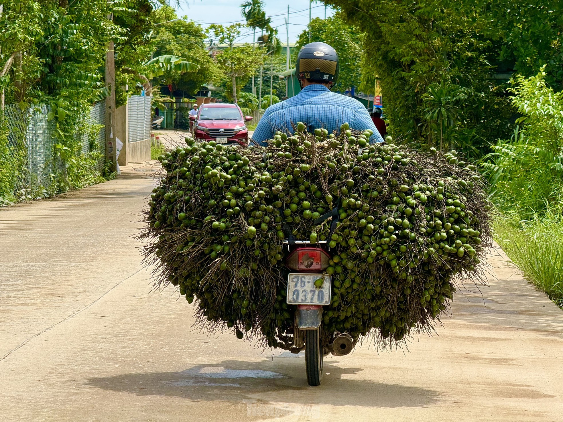 Giá cau tươi tăng mạnh, vì sao nông dân 'đứng ngồi không yên'? - Ảnh 11.