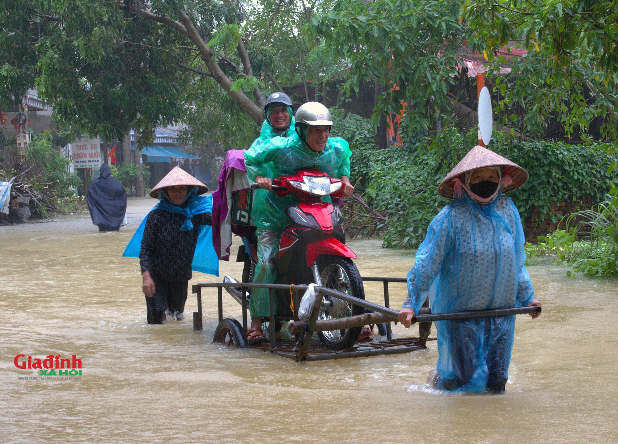 Hà Nội: Lũ trên sông Bùi cuồn cuộn tràn về, hàng nghìn hộ dân chìm trong biển nước - Ảnh 2.