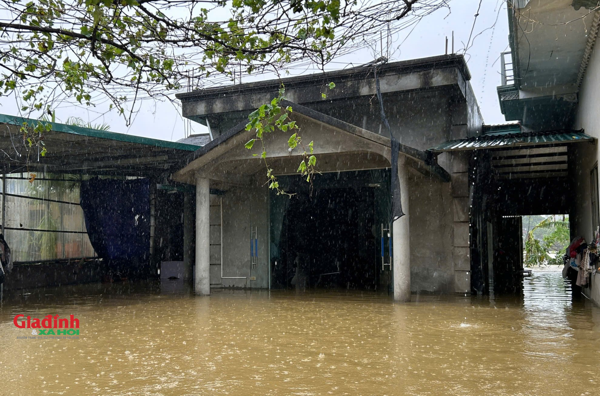 Hà Nội: Lũ trên sông Bùi cuồn cuộn tràn về, hàng nghìn hộ dân chìm trong biển nước - Ảnh 13.