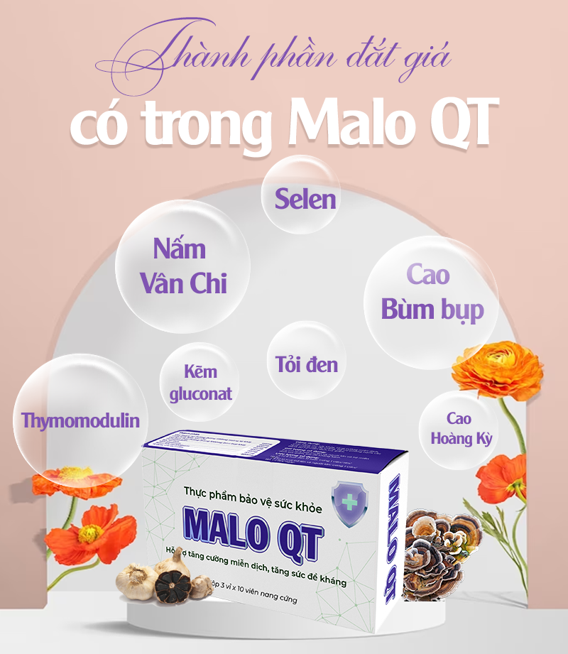 Tập hợp các tinh chất quý hiếm từ thảo dược cho bài thuốc hỗ trợ tăng cường miễn dịch - Ảnh 1.