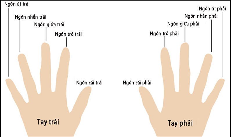 Ý nghĩa phong thủy các ngón tay đeo nhẫn cho nam và nữ - Ảnh 1.