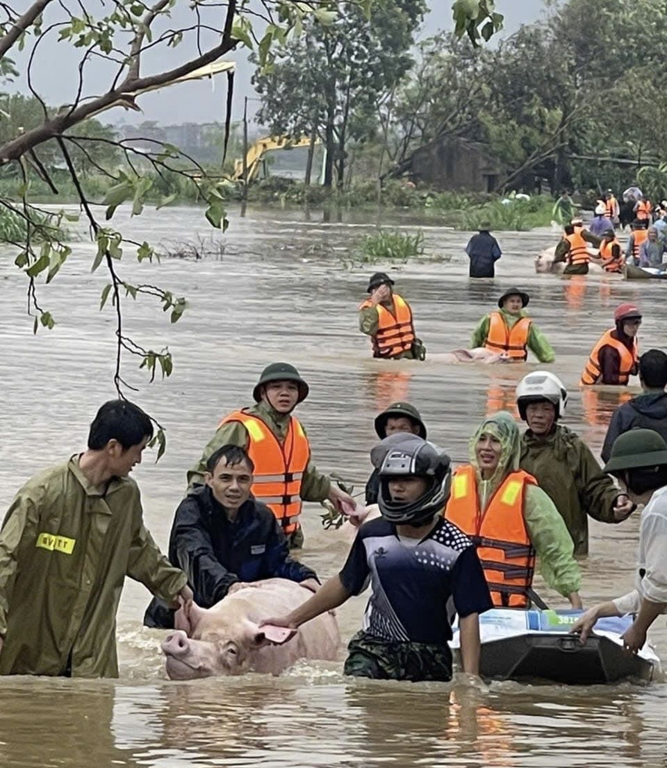 Lực lượng công an Hà Nam tiếp tục cùng người dân tập trung phòng chống, khắc phục hậu quả thiên tai- Ảnh 17.