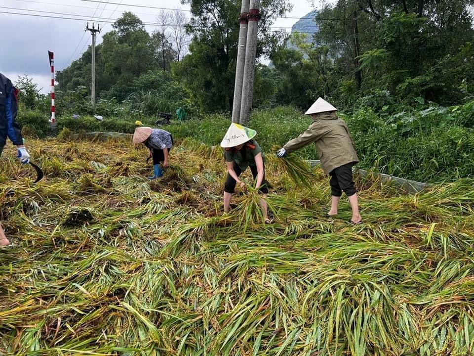 Lực lượng công an Hà Nam tiếp tục cùng người dân tập trung phòng chống, khắc phục hậu quả thiên tai- Ảnh 15.