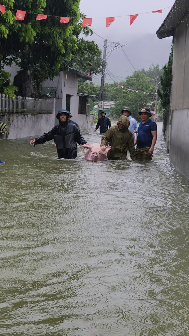 Lực lượng công an Hà Nam tiếp tục cùng người dân tập trung phòng chống, khắc phục hậu quả thiên tai- Ảnh 23.