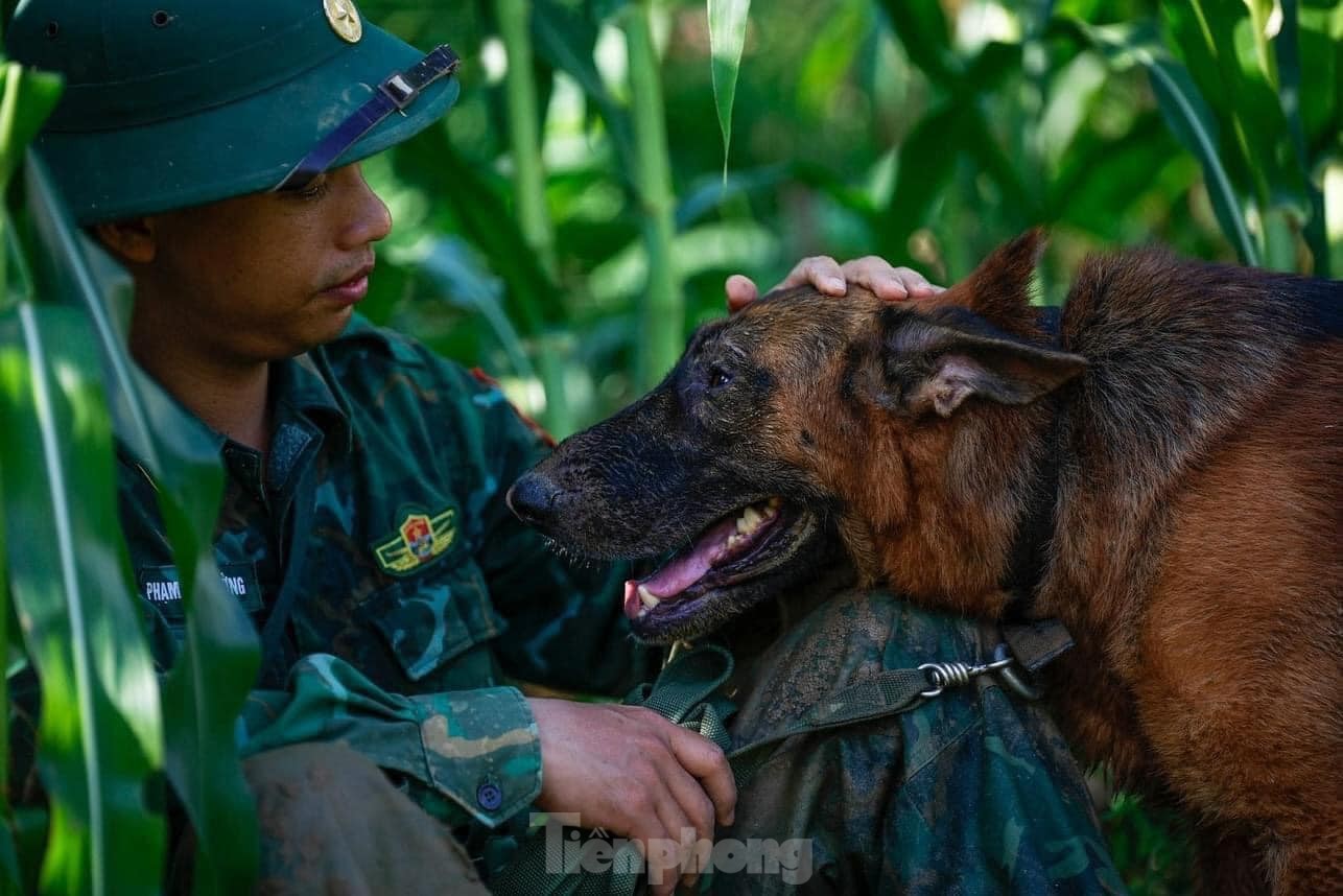 Điều chó nghiệp vụ Biên phòng đến Nậm Tông tìm người mất tích - Ảnh 7.