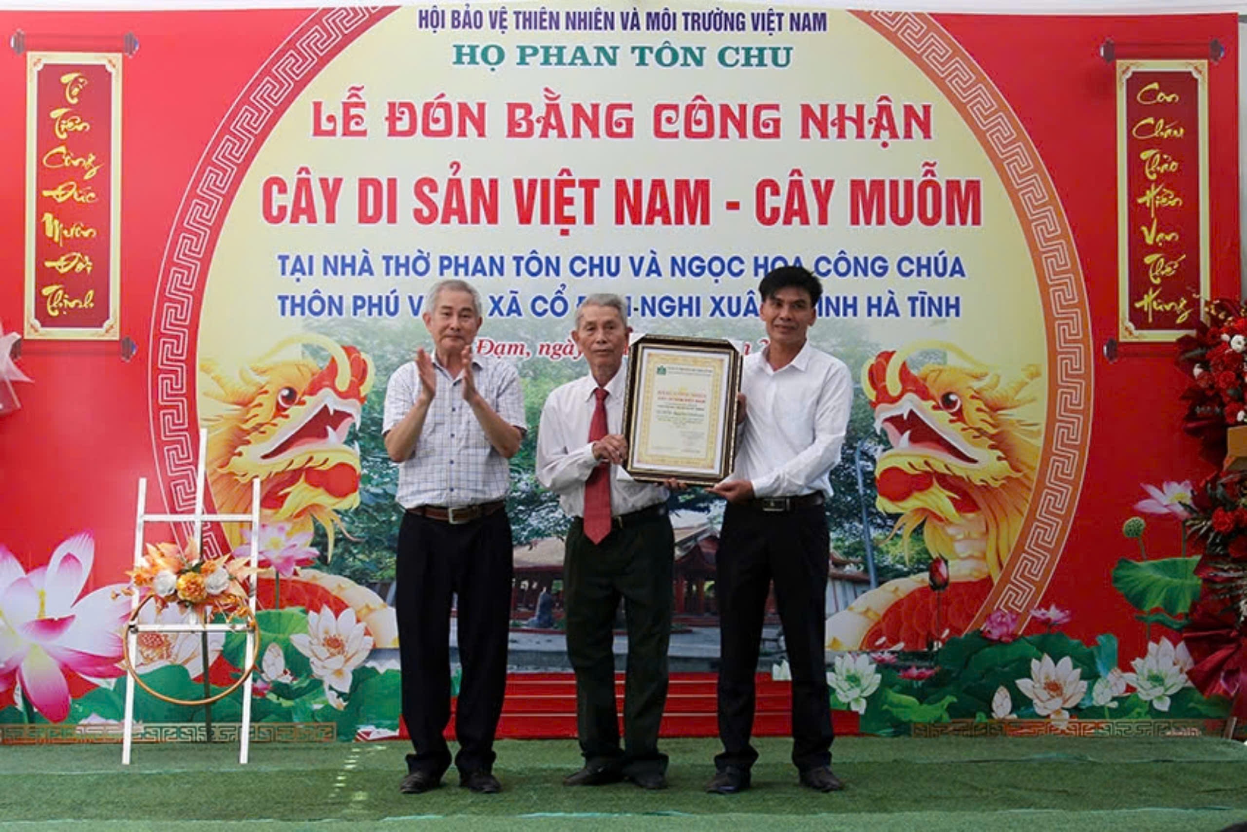 can-canh-cay-muom-hon-360-nam-tuoi-vua-duoc-cong-nhan-cay-di-san-3-17252422621481278999488.jpeg