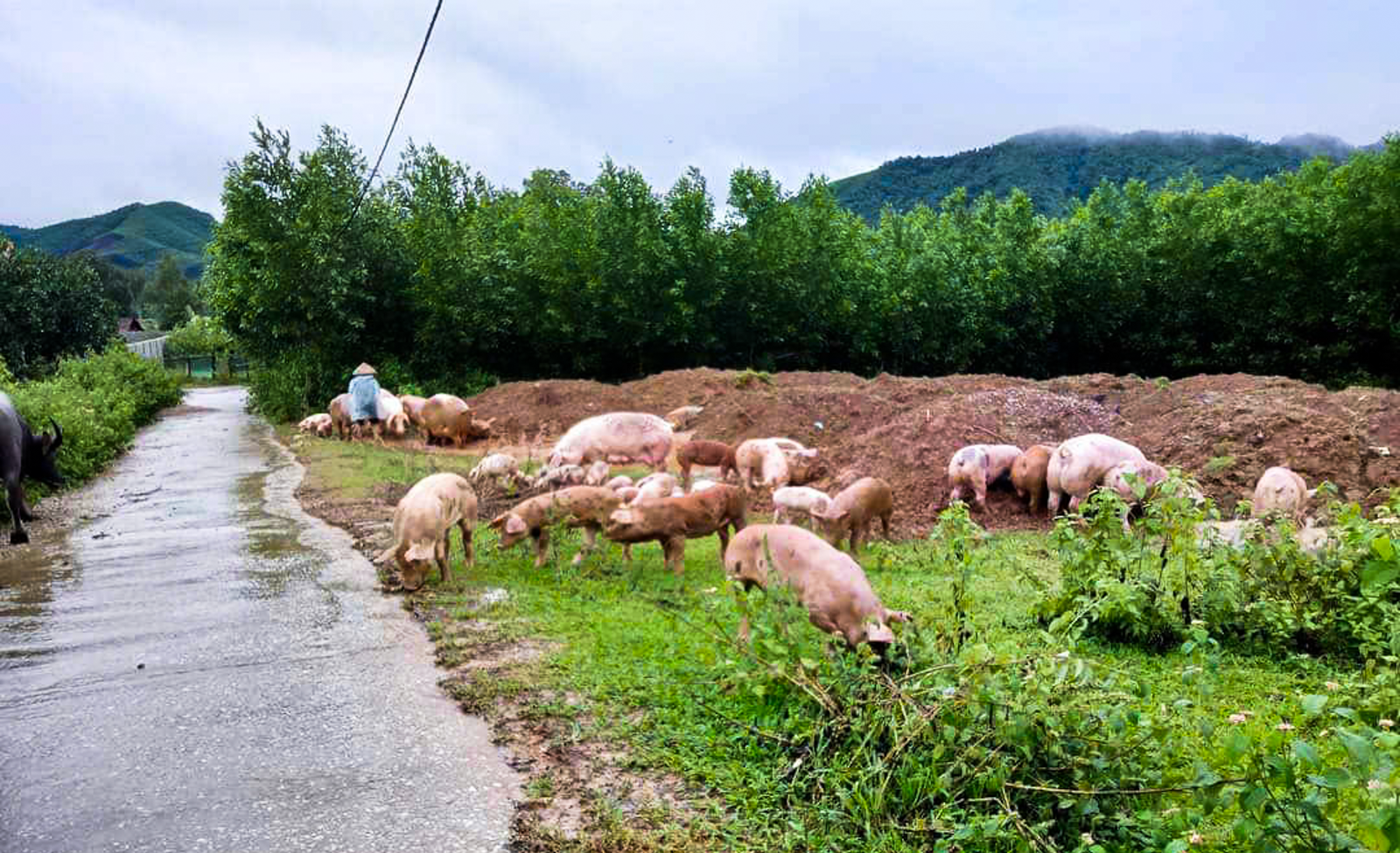 ngap-lut-quang-binh-6-12382542-1726818080345-17268180817491510332451.png