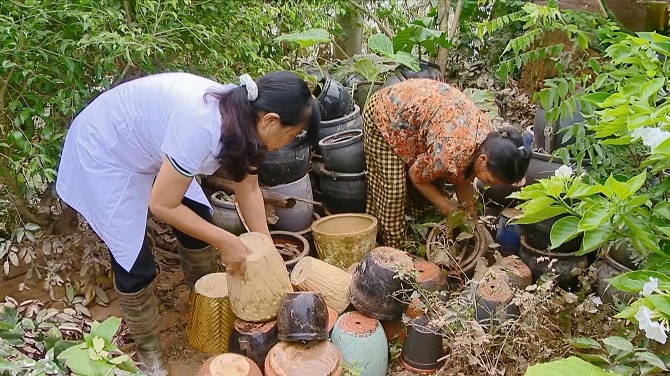 Hà Nội vào cao điểm sốt xuất huyết, cần chú ý những dấu hiệu sớm của bệnh để không gặp biến chứng nặng- Ảnh 1.