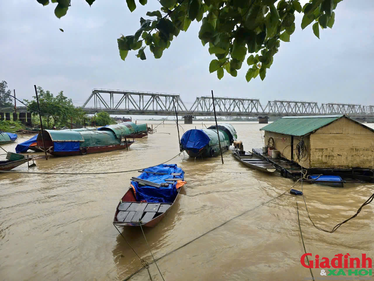 Xóm vạn chài trên sông Lam: Bấp bênh mùa lũ- Ảnh 1.