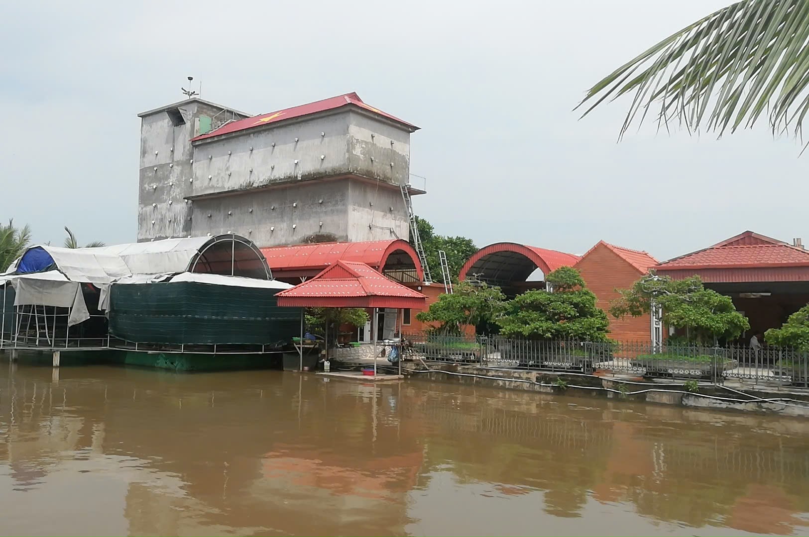 Chuyện người đàn ông ở Nam Định 'bỏ phố' về quê nuôi chim quý kiếm tiền tỷ và mơ ước biến trang trại thành 