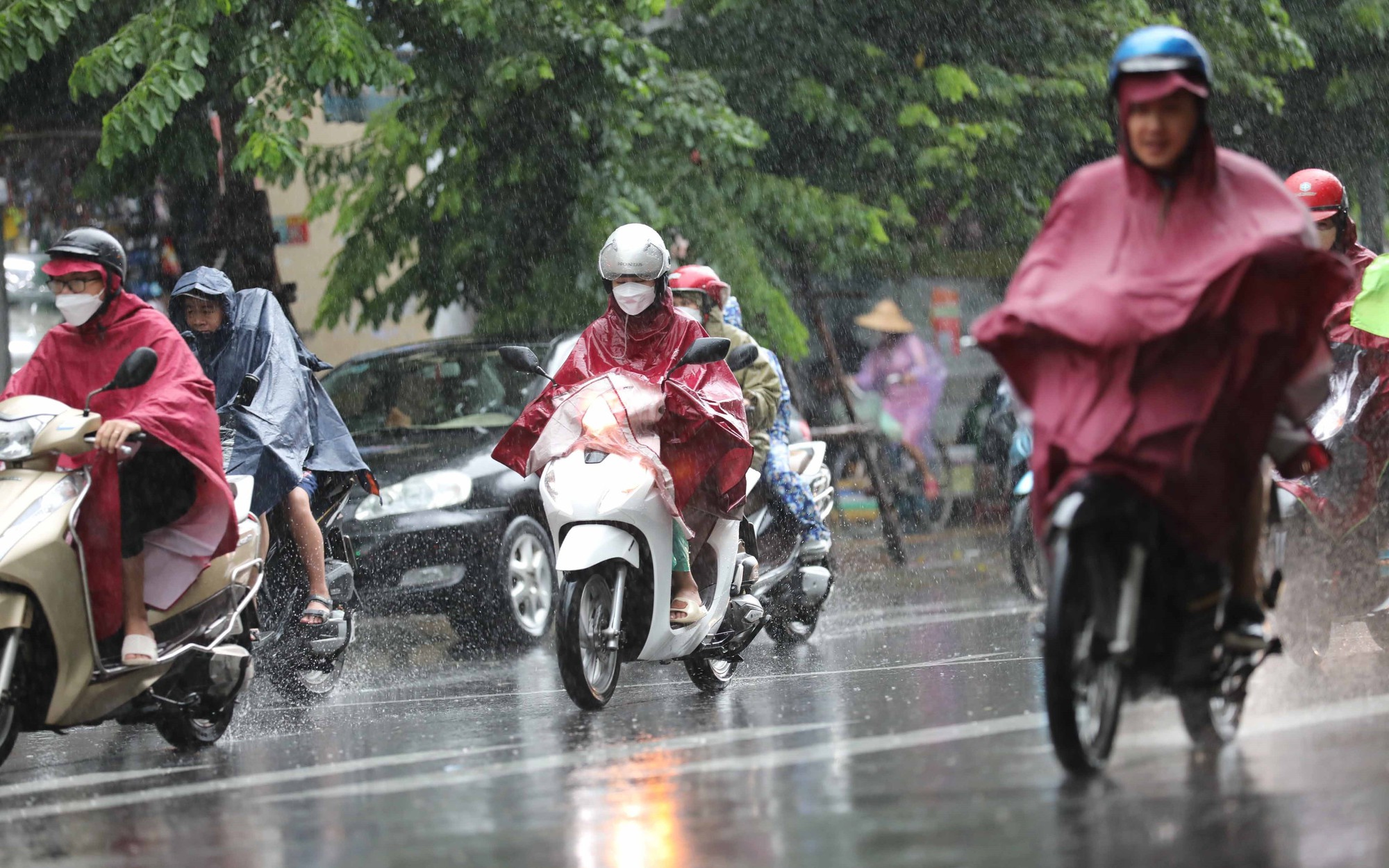 Tin sáng 27/9: Mùa Đông 2024 miền Bắc khả năng rét hơn mọi năm; uẩn khúc trong vụ mẹ bỏ con mới sinh vào thùng xốp, thả trôi sông- Ảnh 2.