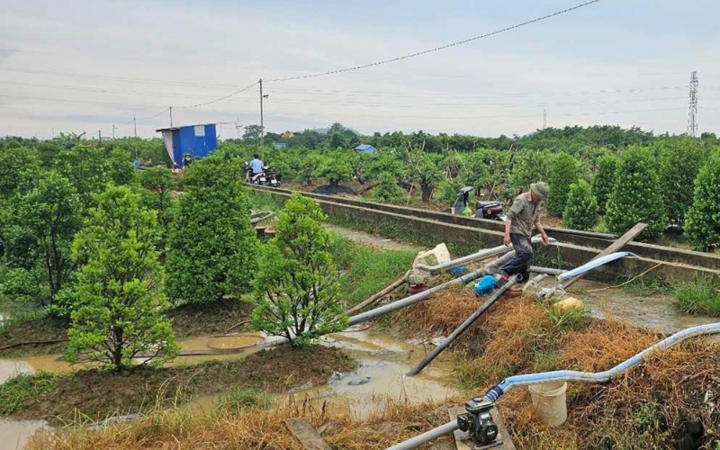 Khẩn trương khoanh nợ cho khách hàng bị thiệt hại nặng nề về vốn vay, tài sản hình thành từ vốn vay do hậu quả bão lũ 