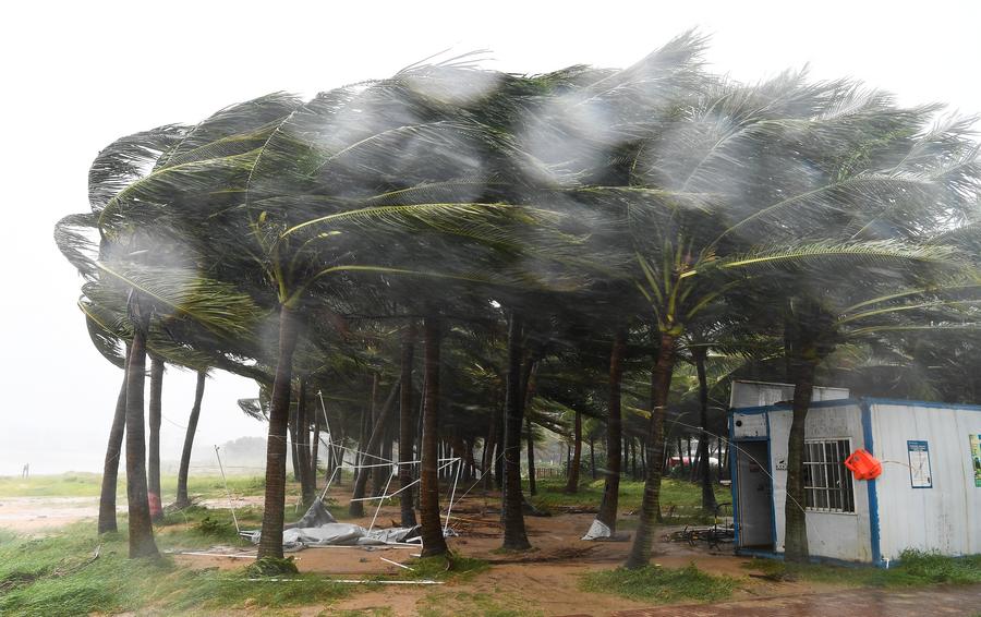 Siêu bão Yagi đã tàn phá đảo Hải Nam (Trung Quốc) thế nào?- Ảnh 4.