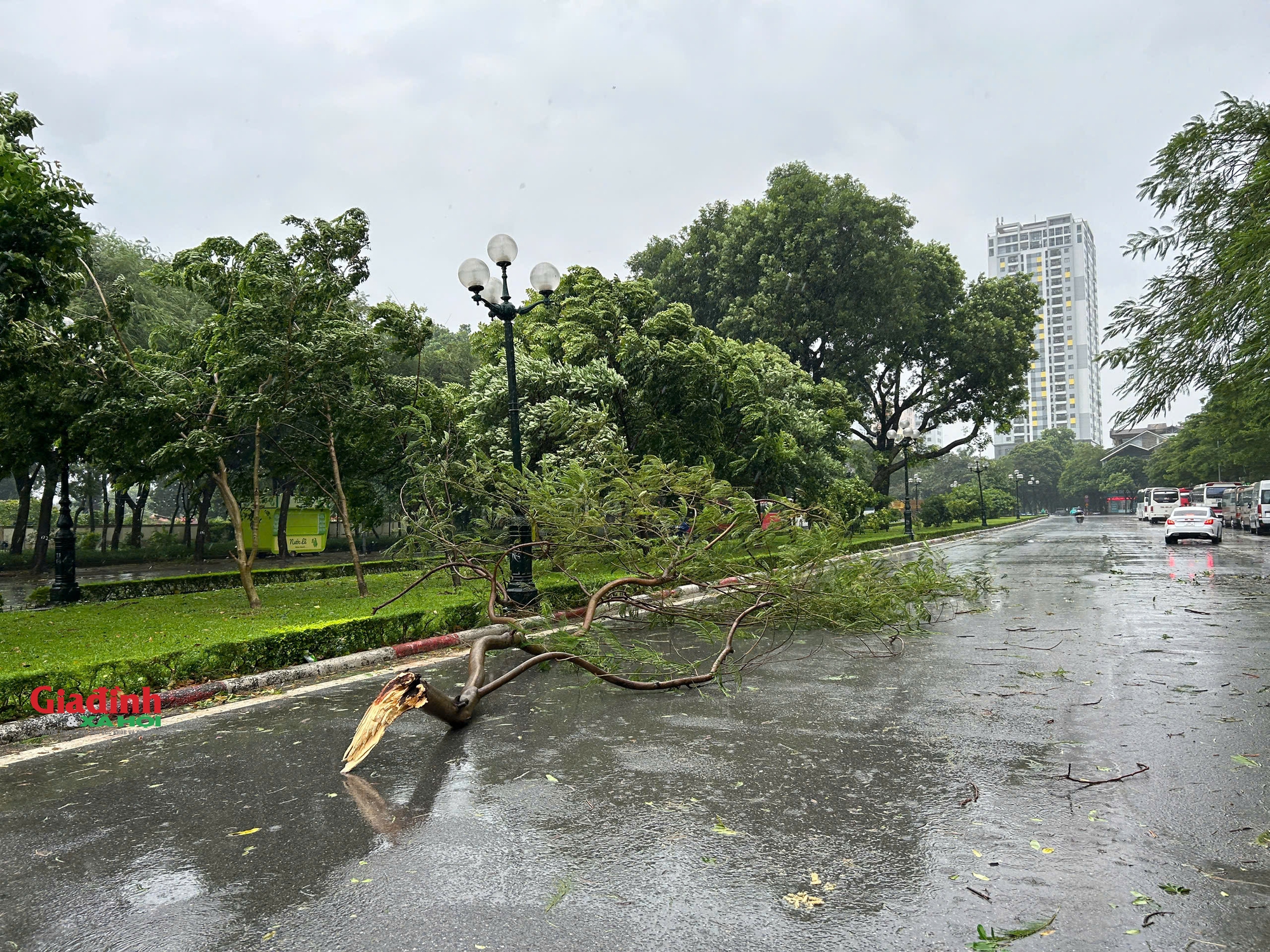 Hà Nội: Cây cối gãy đổ, đường phố vắng lặng trước khi bão số 3 đổ bộ - Ảnh 4.