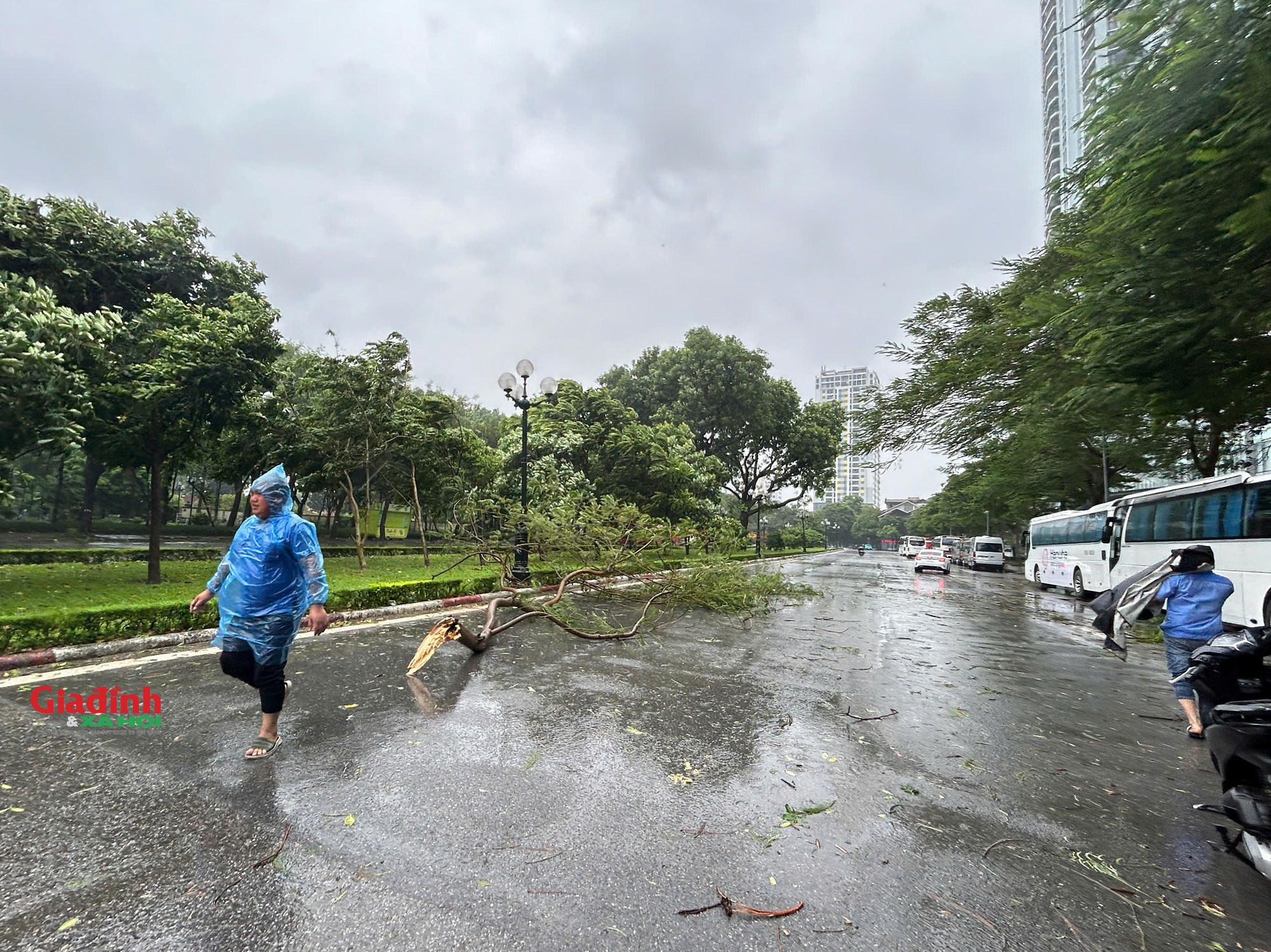 Hà Nội: Cây cối gãy đổ, đường phố vắng lặng trước khi bão số 3 đổ bộ - Ảnh 5.