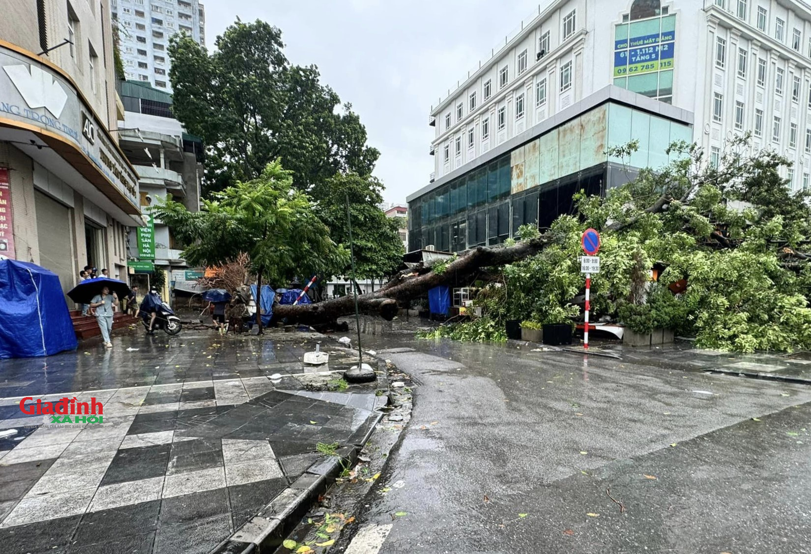 Hà Nội: Cây cối gãy đổ, đường phố vắng lặng trước khi bão số 3 đổ bộ - Ảnh 6.