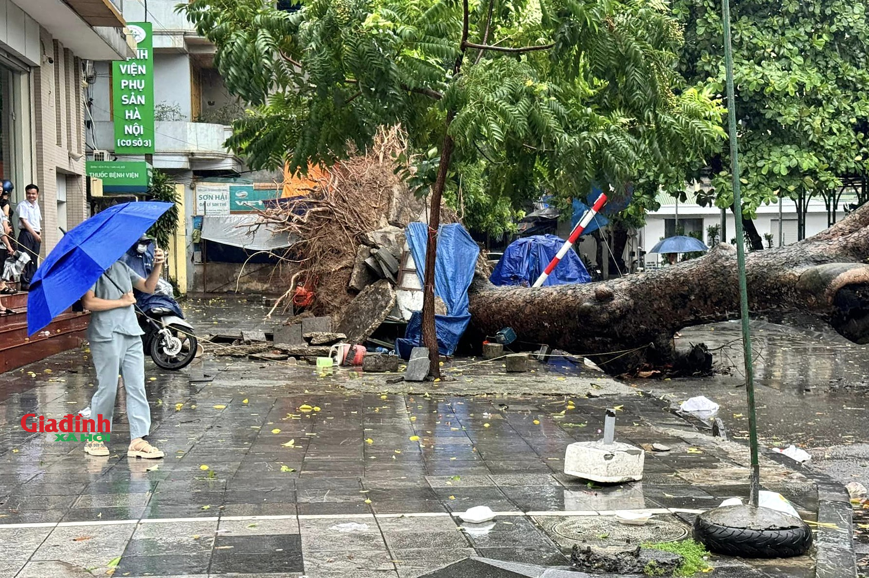 Hà Nội: Cây cối gãy đổ, đường phố vắng lặng trước khi bão số 3 đổ bộ - Ảnh 7.