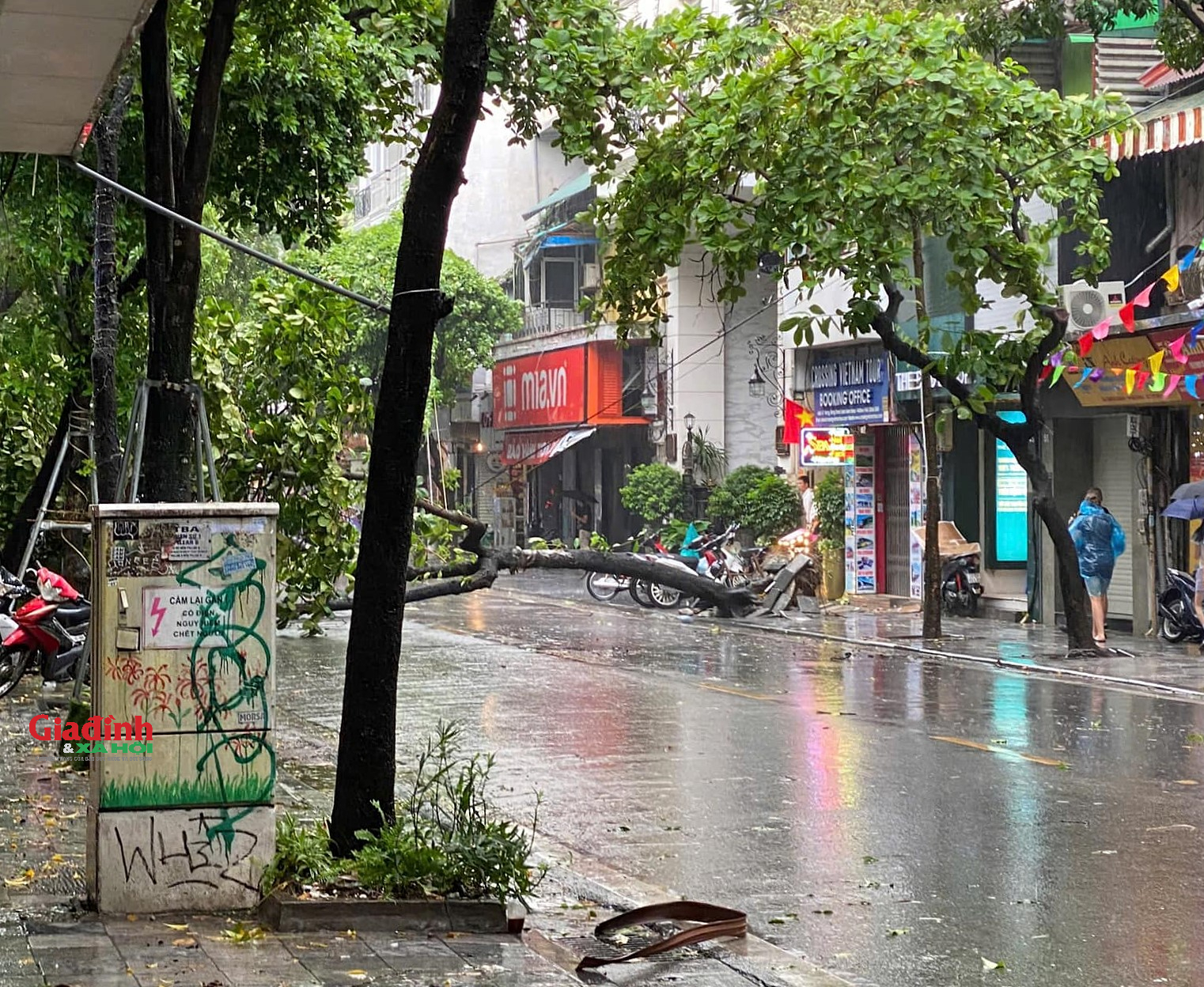 Hà Nội: Cây cối gãy đổ, đường phố vắng lặng trước khi bão số 3 đổ bộ - Ảnh 8.