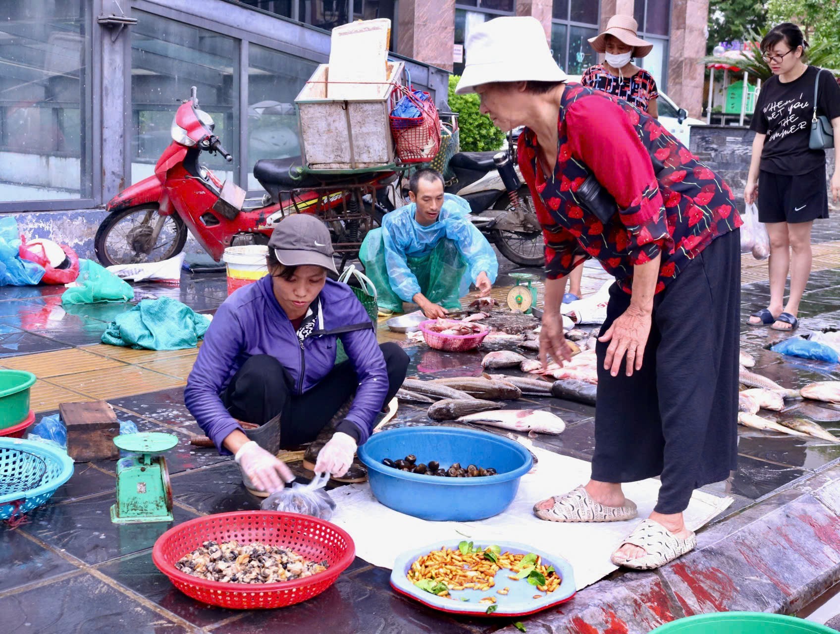 Chợ sớm sau bão: Vắng bóng tiểu thương, rau xanh tăng gấp rưỡi - Ảnh 7.