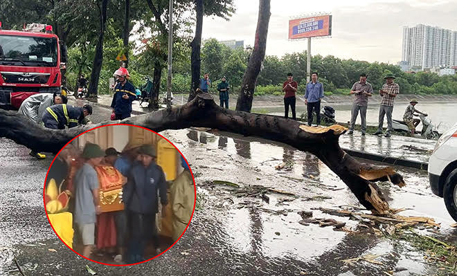 Chồng nạn nhân bị cây đè tử vong ở Hà Nội: 'Tôi dặn vợ nếu mưa to quá thì mai hãy về'