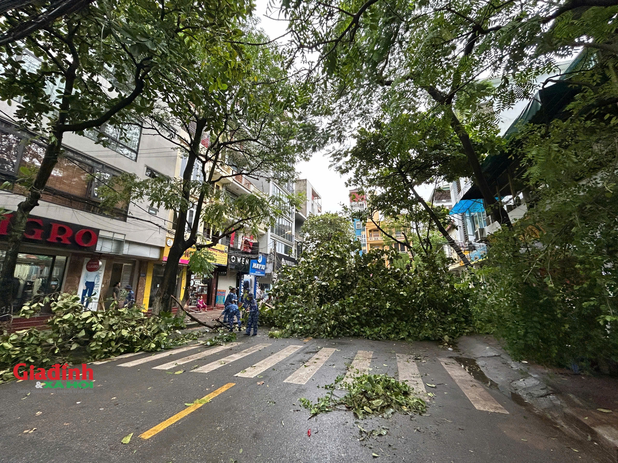 Hà Nội: Cảnh tan hoang trên nhiều tuyến phố sau khi bão số 3 đi qua- Ảnh 4.