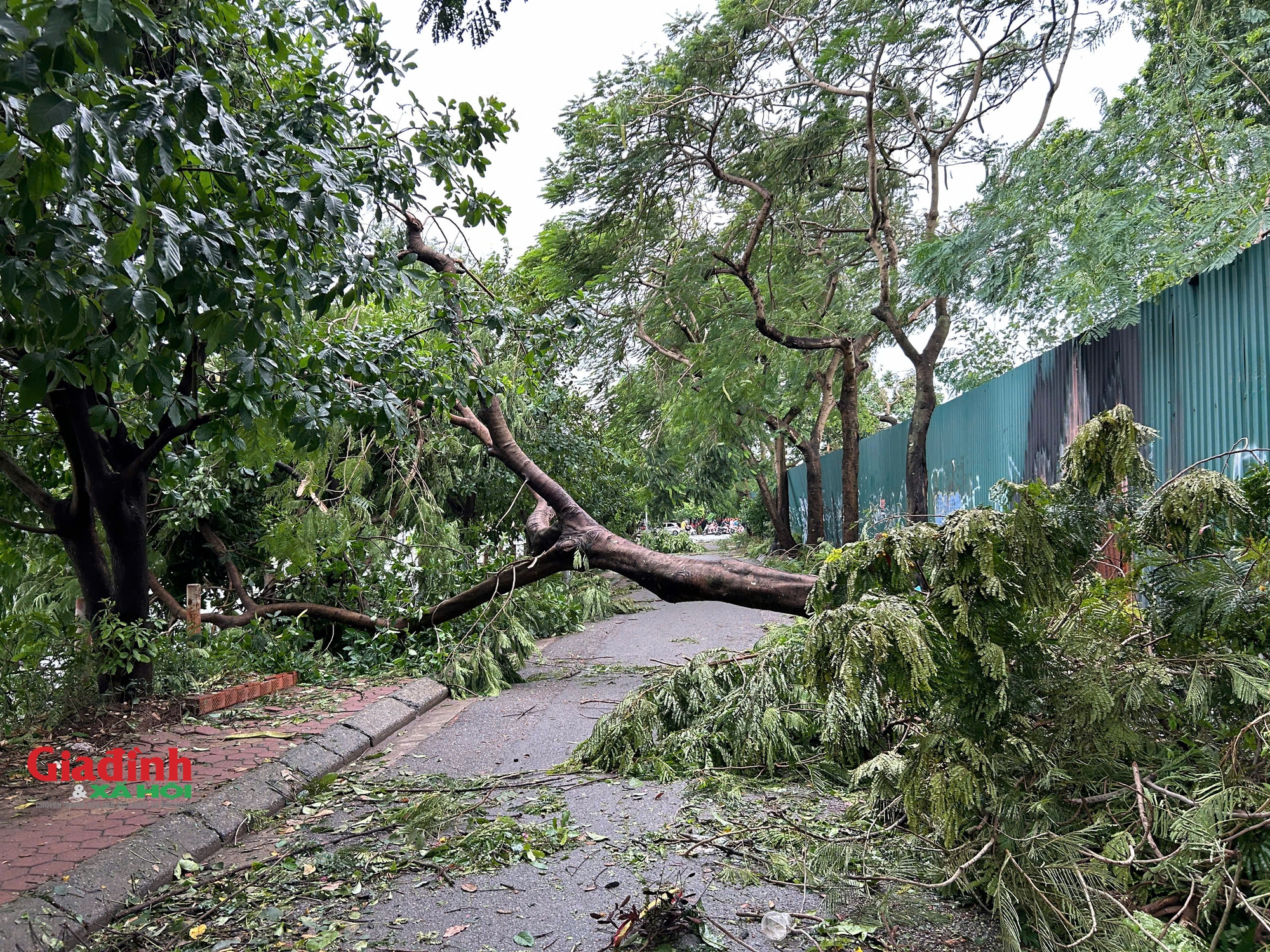 Hà Nội: Cảnh tan hoang trên nhiều tuyến phố sau khi bão số 3 đi qua- Ảnh 10.