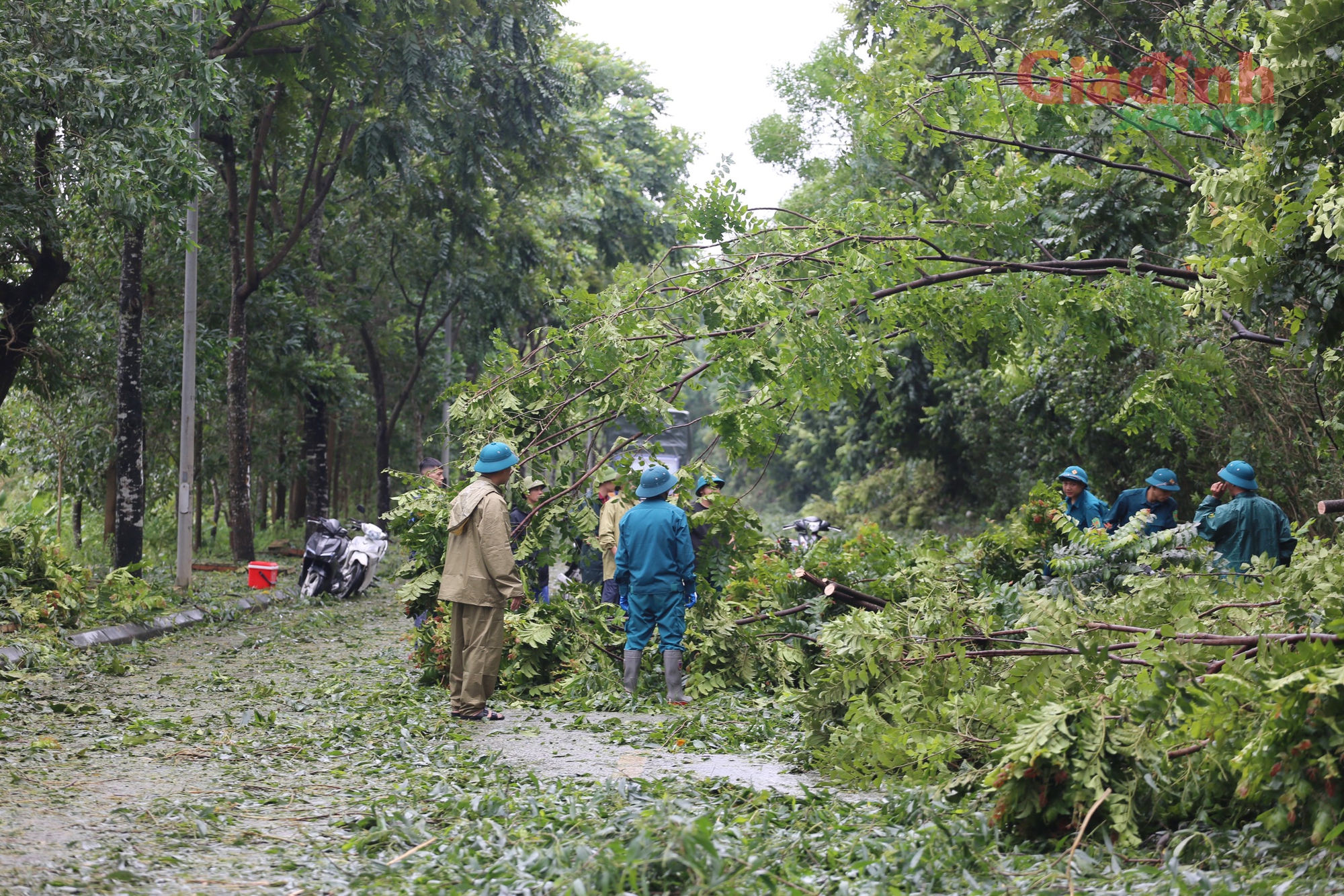 Đại lộ Thăng long ‘hóa’ rừng sau bão số 3, hàng loạt phương tiện nối nhau đi qua lối mòn- Ảnh 4.