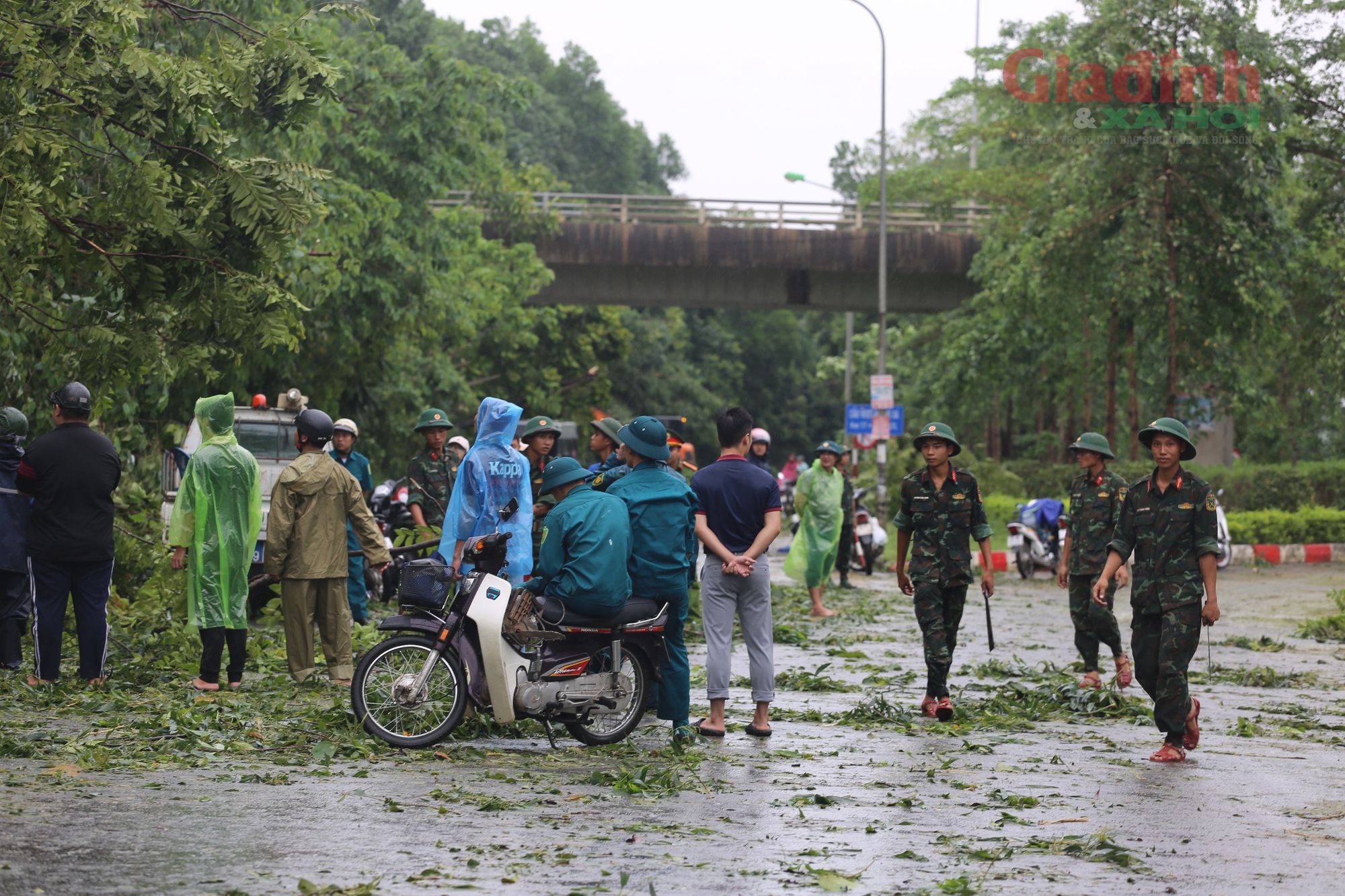 Đại lộ Thăng long ‘hóa’ rừng sau bão số 3, hàng loạt phương tiện nối nhau đi qua lối mòn- Ảnh 9.