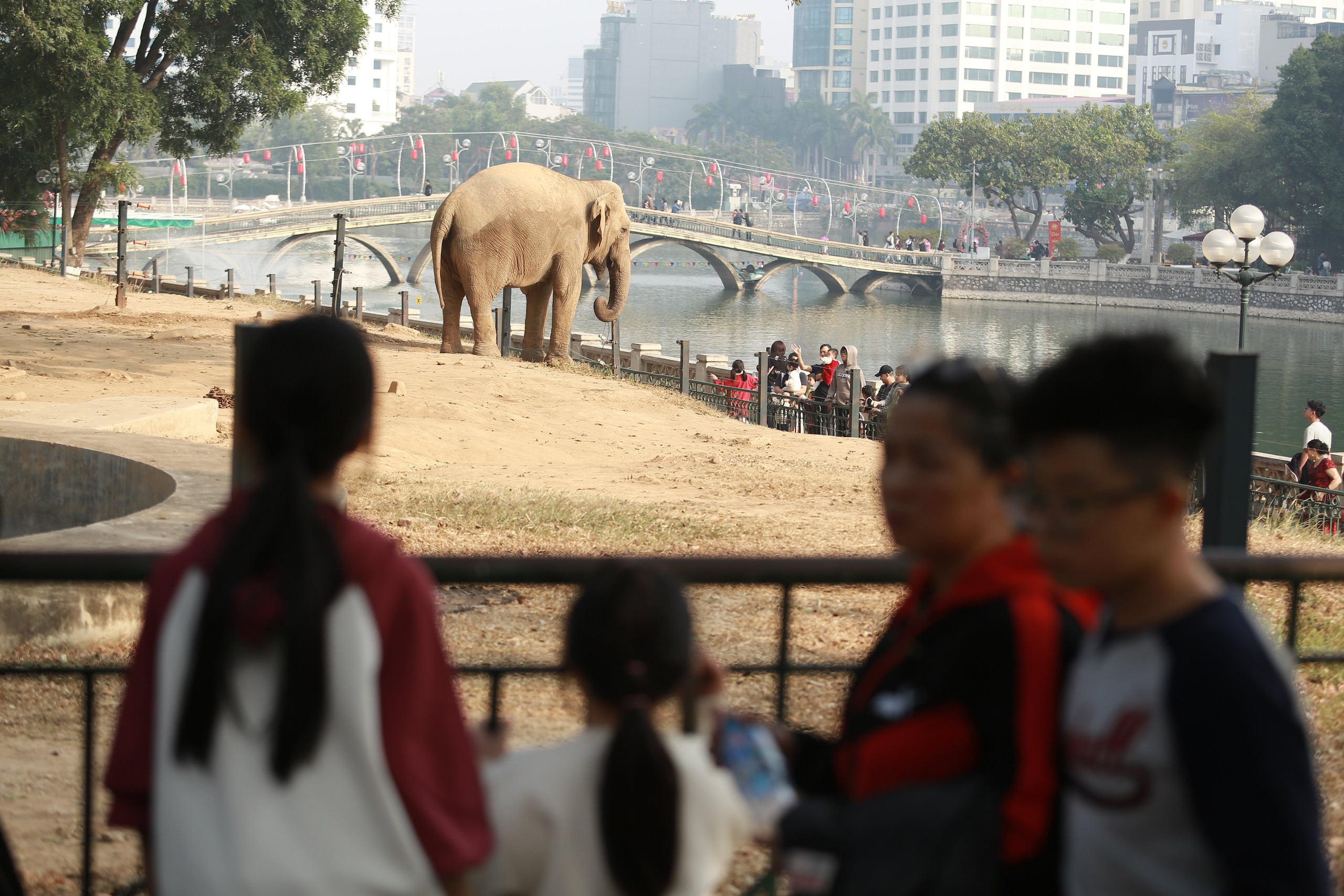 Vườn thú Hà Nội thu hút hàng chục nghìn người trong ngày nghỉ Tết Dương lịch 2025- Ảnh 12.
