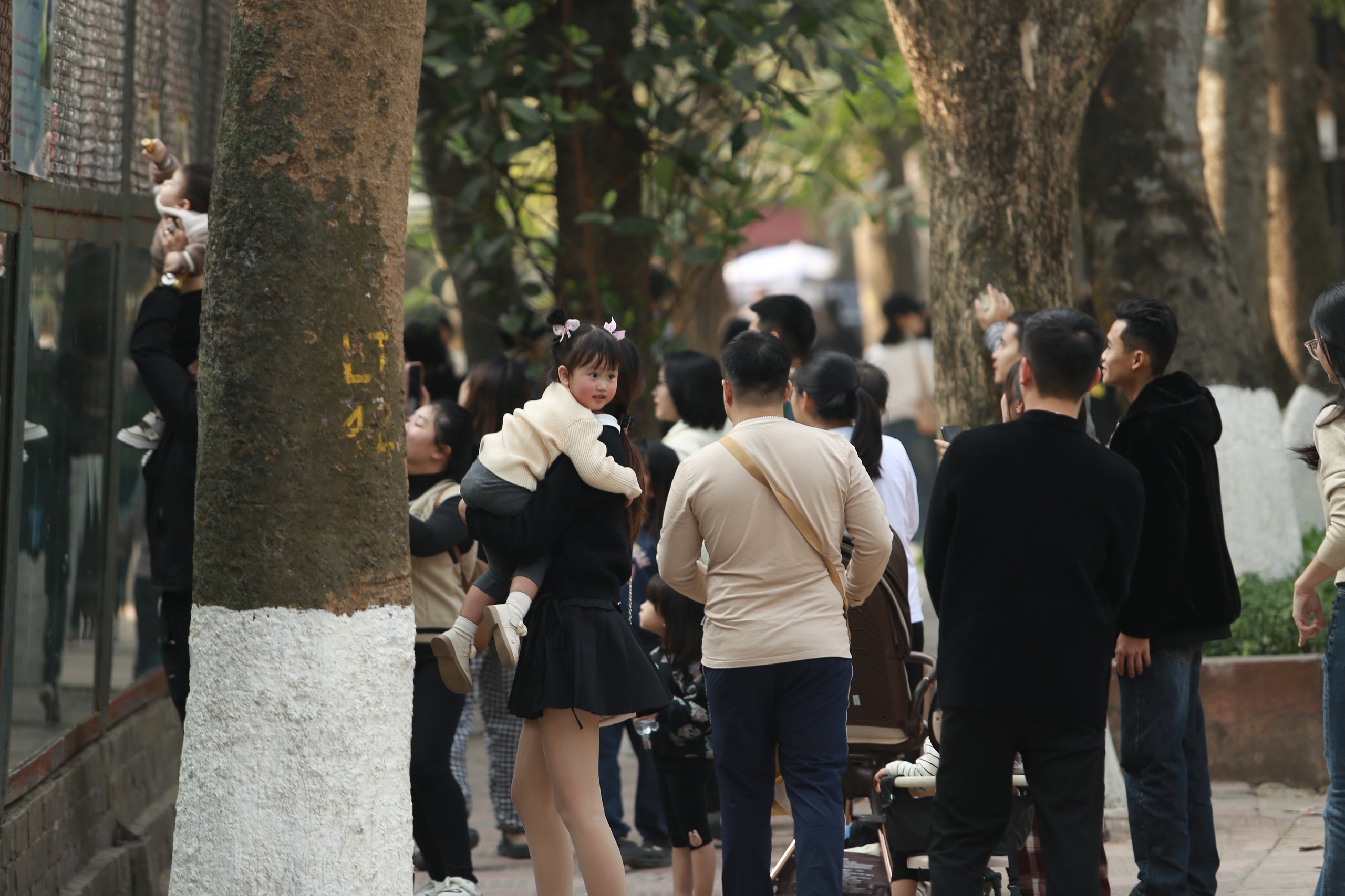 Vườn thú Hà Nội thu hút hàng chục nghìn người trong ngày nghỉ Tết Dương lịch 2025- Ảnh 11.