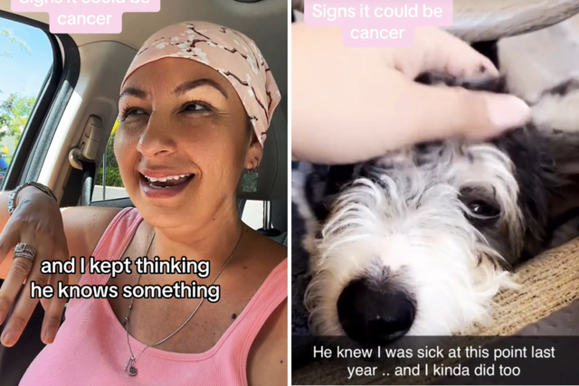 dog-sensing-cancer-1736579958751795363345-1736728938564-1736728938753139342204.png