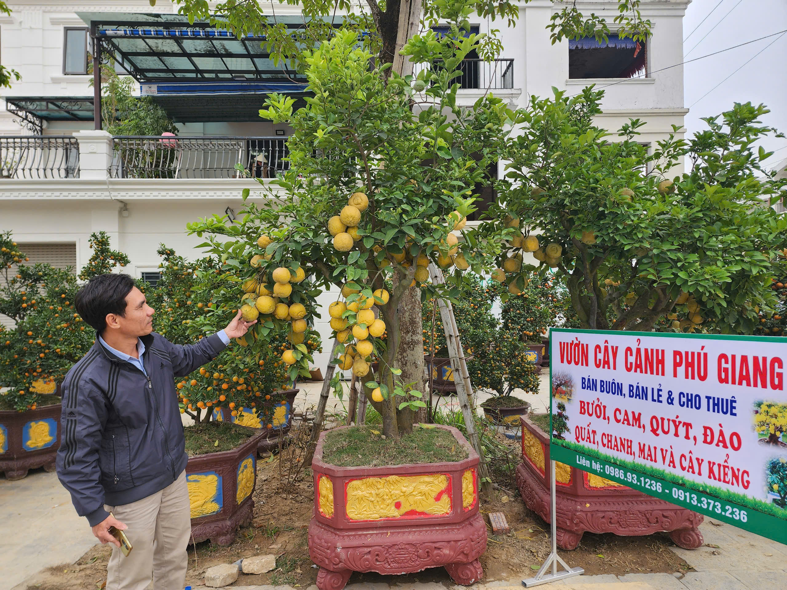 Thành phố Thanh Hóa tràn ngập sắc xuân - Ảnh 4.