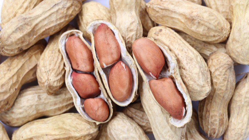 Đây mới là cách trồng đậu phộng (cây củ lạc) thủy canh siêu dễ, vừa đẹp vừa độc đáo- Ảnh 4. Đây mới là cách trồng đậu phộng (cây củ lạc) thủy canh siêu dễ, vừa đẹp vừa độc đáo- Ảnh 4.