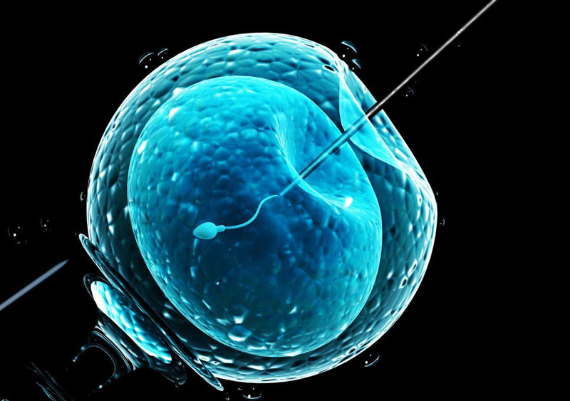 Sử dụng AI có thể giúp tăng tỷ lệ thành công của IVF- Ảnh 1. Sử dụng AI có thể giúp tăng tỷ lệ thành công của IVF- Ảnh 1.