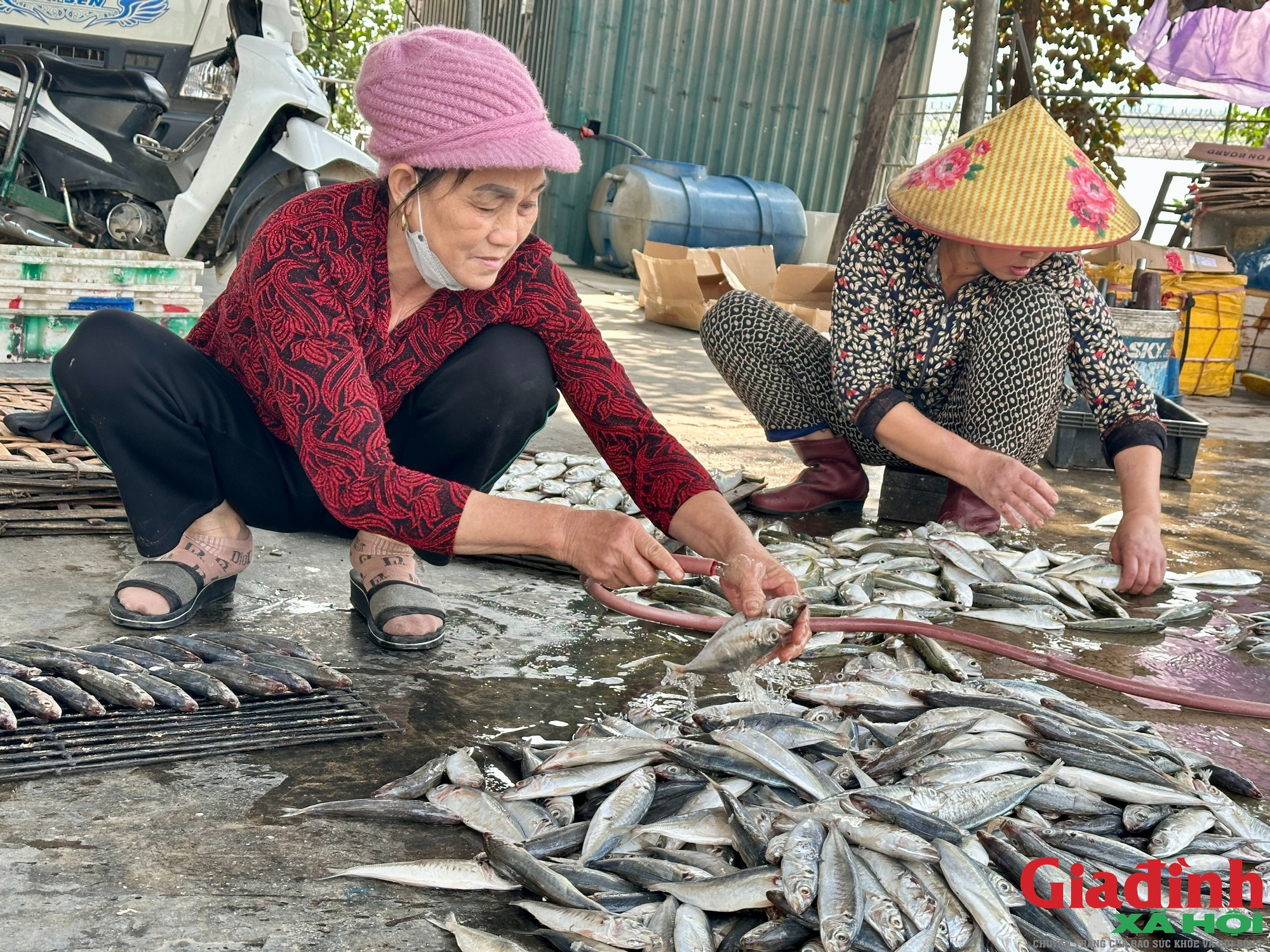 Làng chài đỏ lửa suốt ngày đêm nướng ‘cá ông trời’ vụ Tết- Ảnh 6.