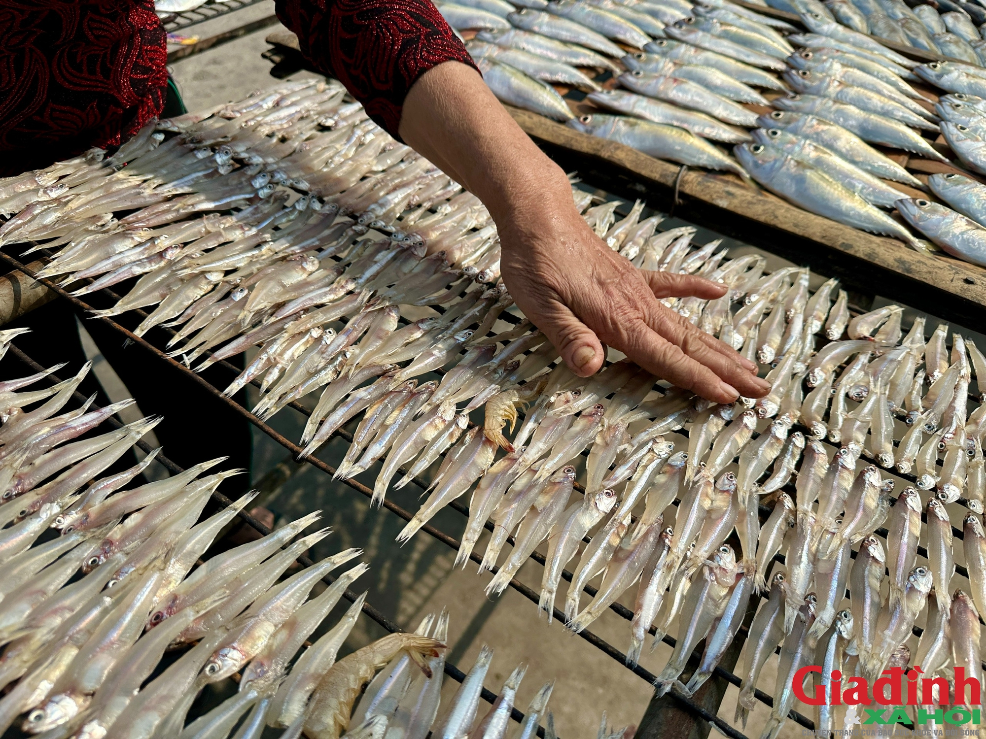 Làng chài đỏ lửa suốt ngày đêm nướng ‘cá ông trời’ vụ Tết- Ảnh 8.