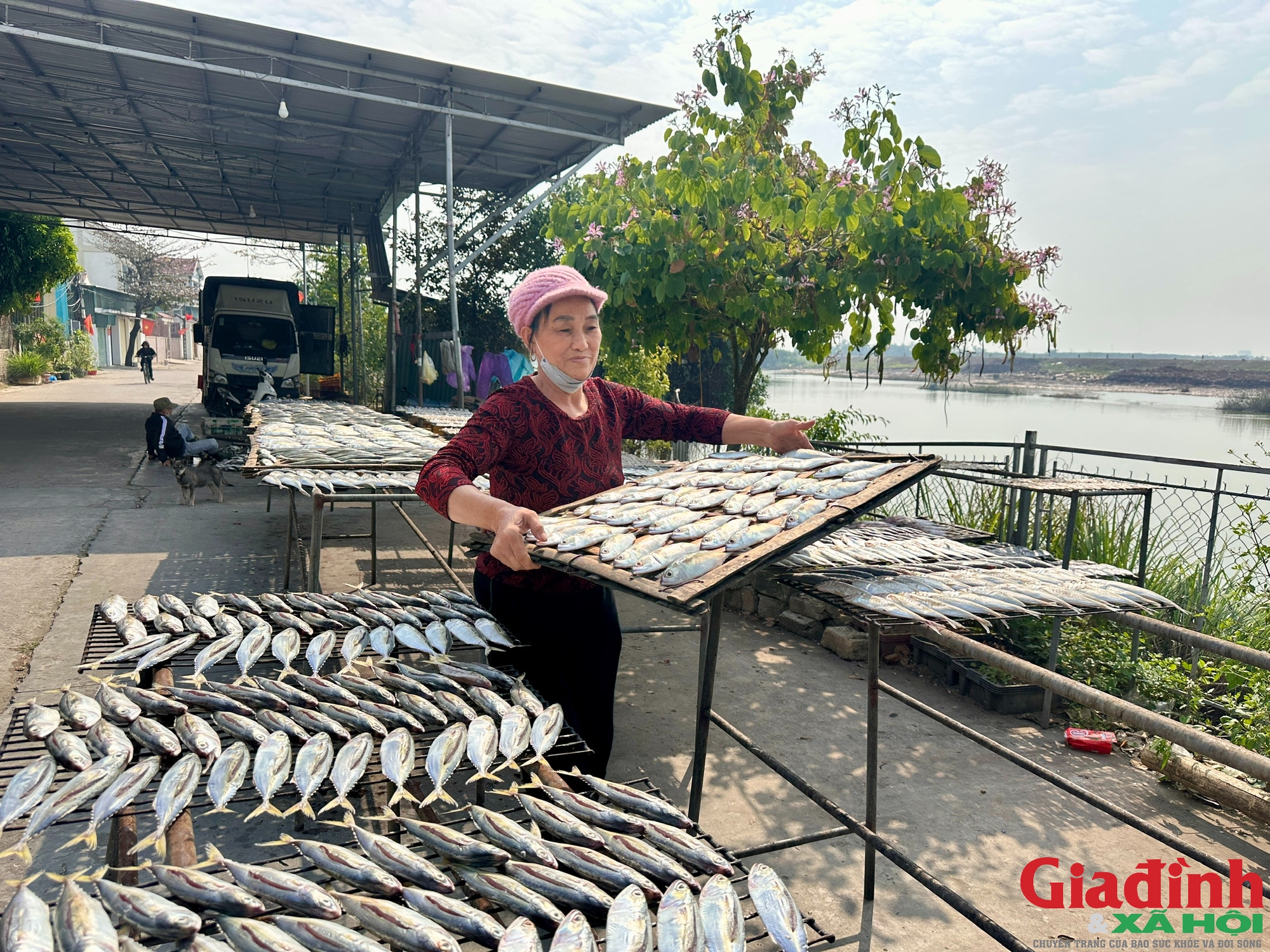 Làng chài đỏ lửa suốt ngày đêm nướng ‘cá ông trời’ vụ Tết- Ảnh 9.