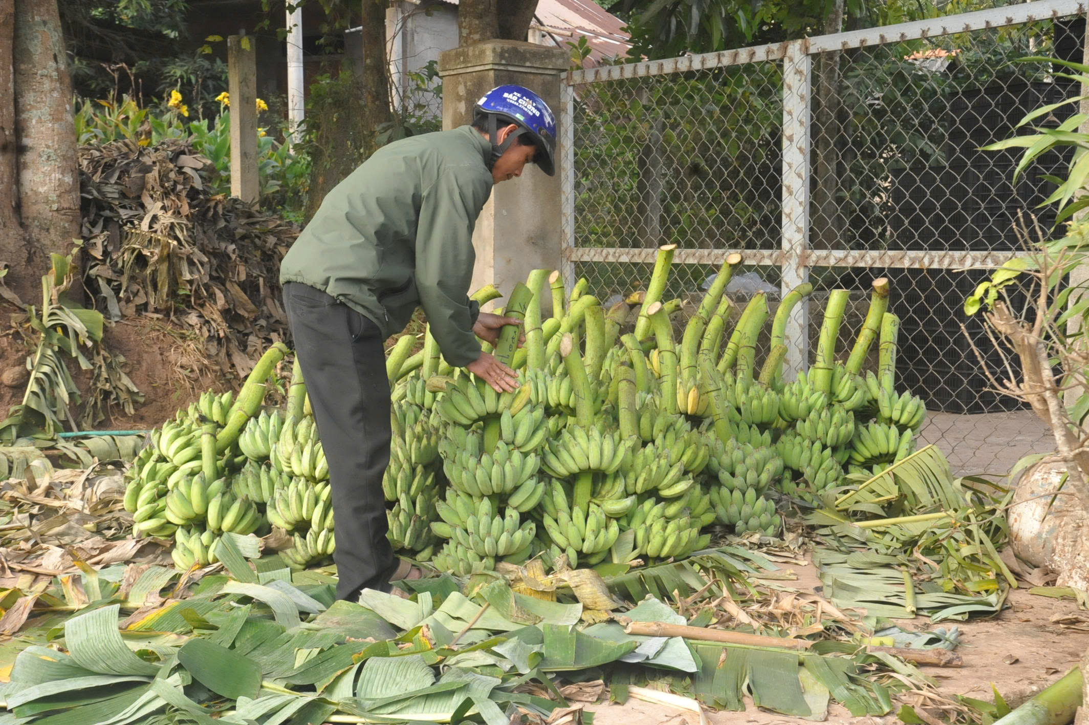 Phiên chợ đặc biệt ở vùng biên bán duy nhất một mặt hàng- Ảnh 7.