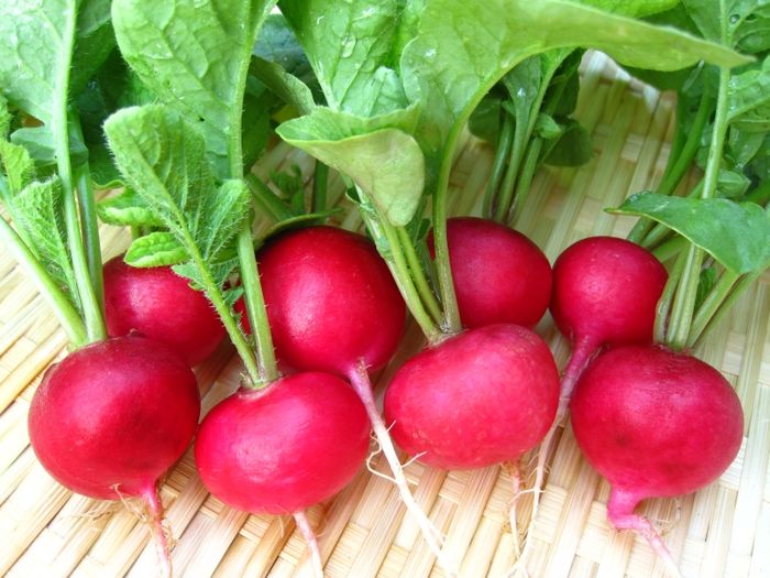 Loại củ quả mang đến nhiều may mắn trong ngày Tết- Ảnh 5.