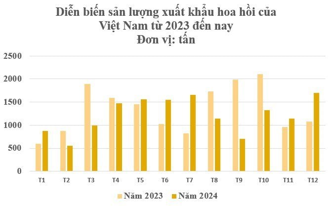 Hoa nghìn tỷ giúp Việt Nam thu 63 triệu USD, vẫn là ông trùm top 2 thế giới - Ảnh 2.