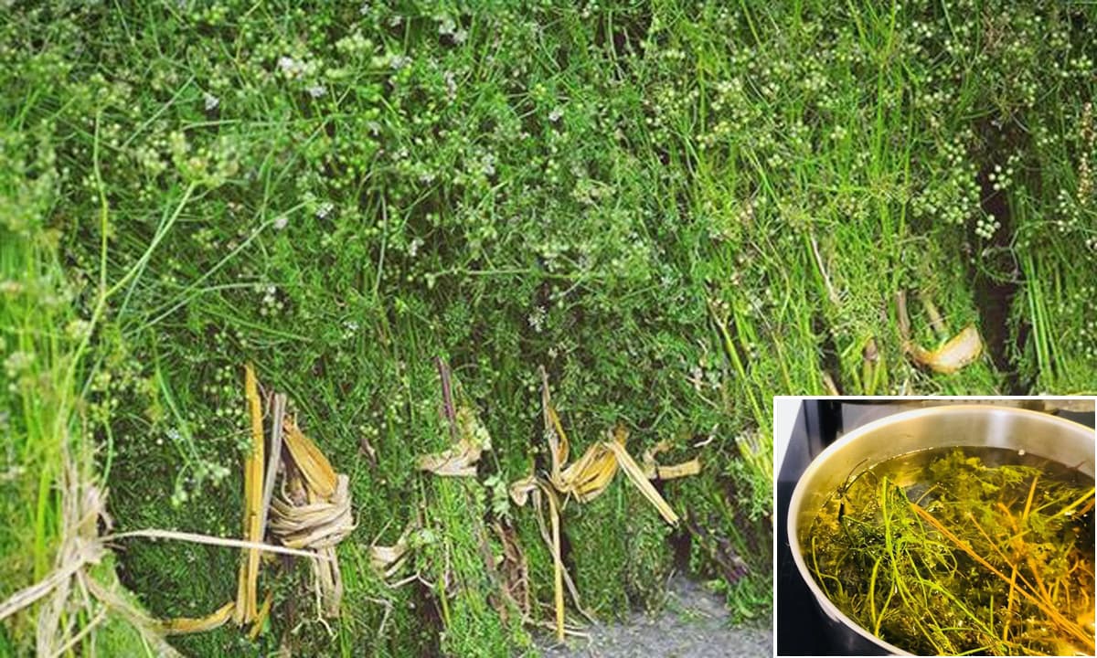 5 việc quan trọng nên làm trong những ngày tất niên năm 2025 để mang lại tài lộc, may mắn- Ảnh 3.