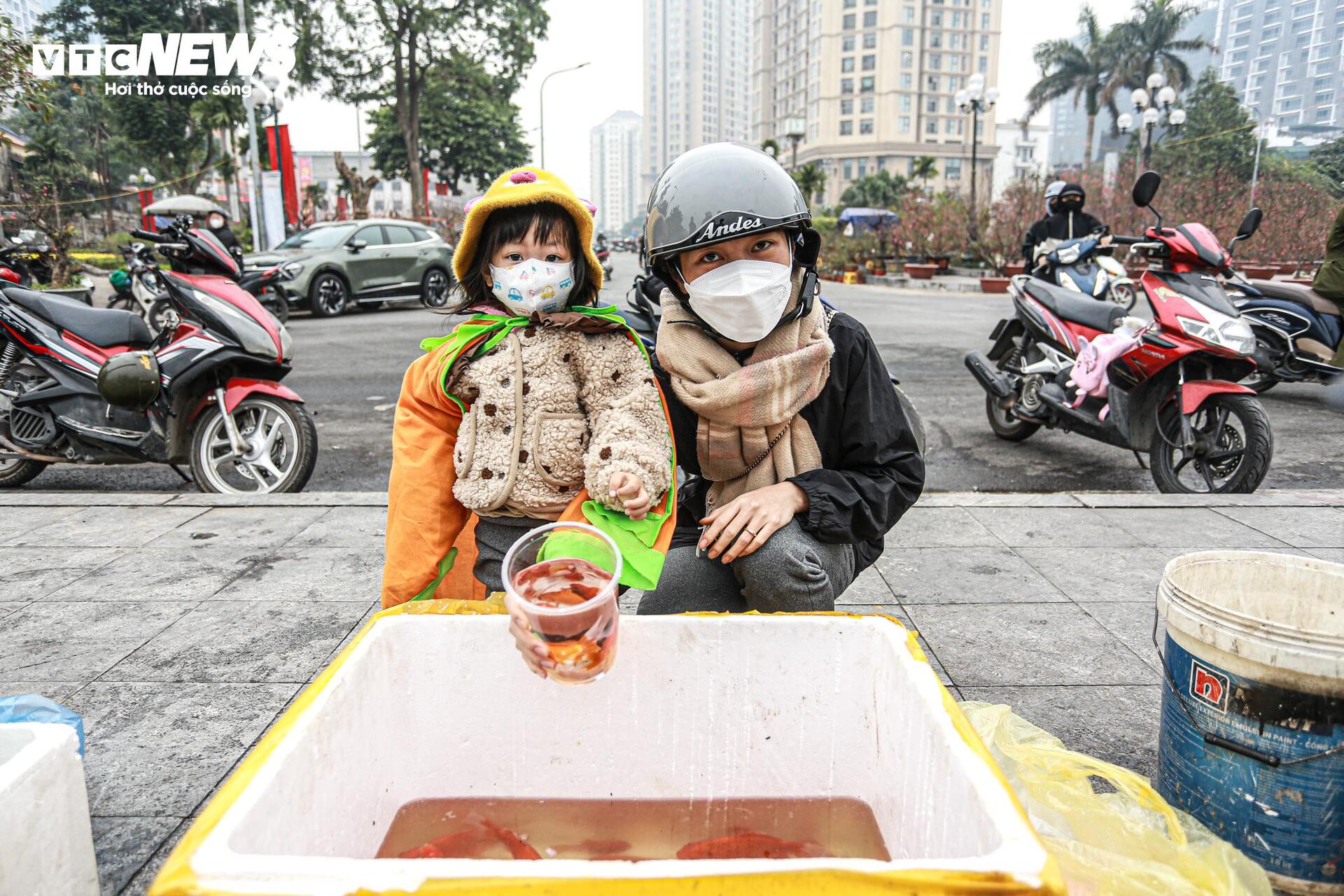 Cá chép 'đu dây' xuống sông Hồng tiễn ông Công ông Táo về trời - Ảnh 13.