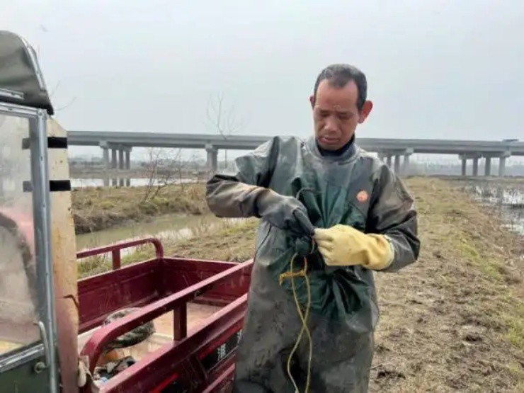 Lội bùn đào thứ ở Việt Nam có đầy, nhẹ nhàng đút túi tiền triệu/ngày - Ảnh 4.