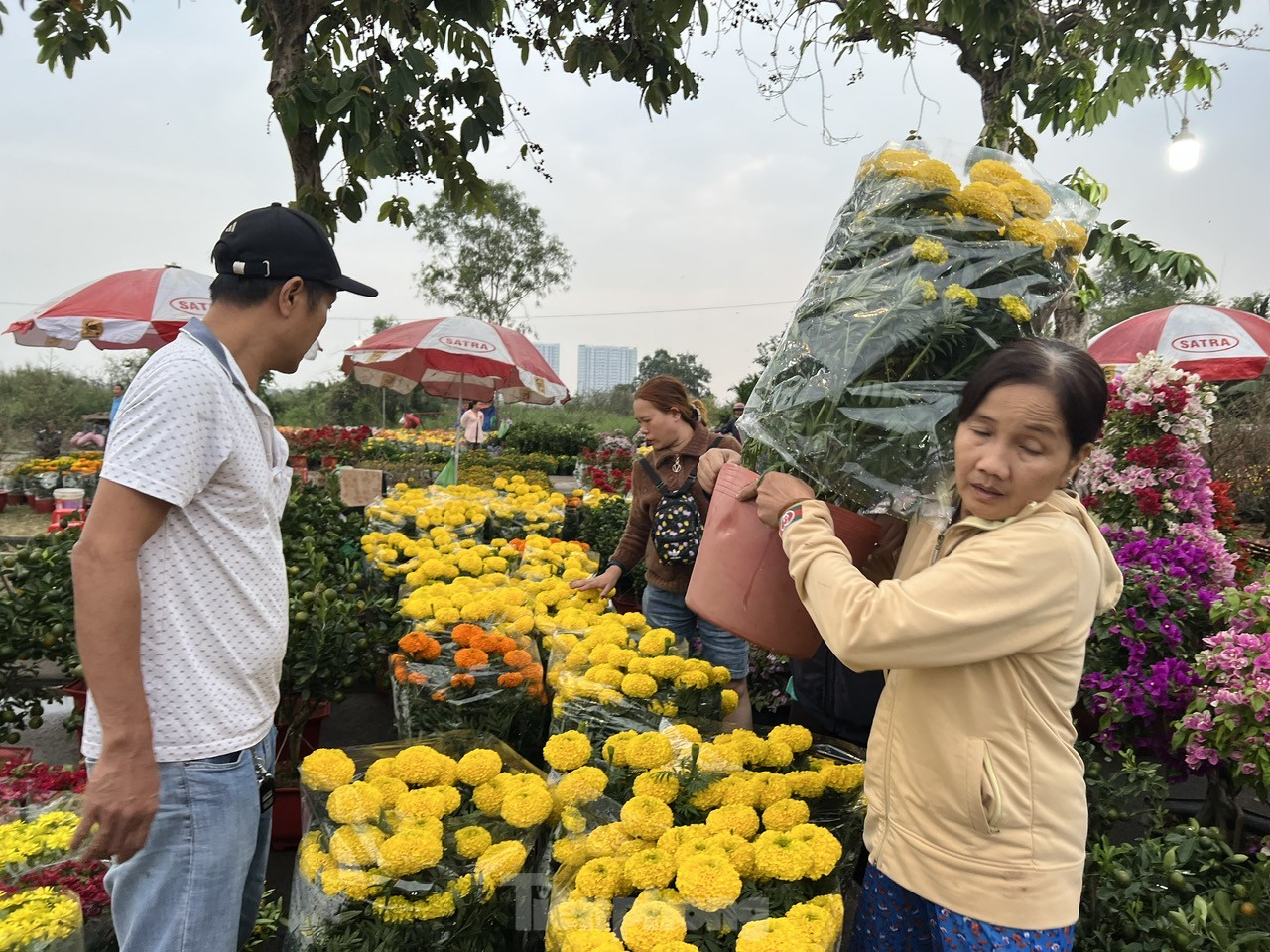 Chợ hoa Tết giá 'mềm' hút khách có thu nhập thấp - Ảnh 10.