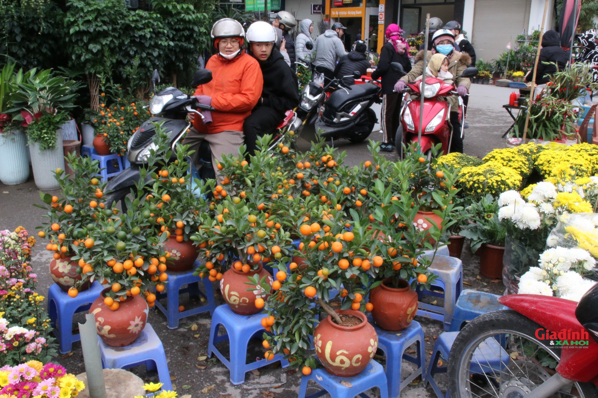 Thăm chợ hoa lâu đời bậc nhất Thủ đô những ngày giáp Tết - Ảnh 5.